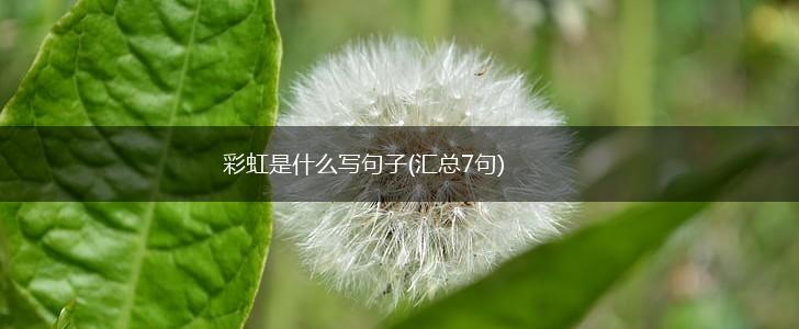 彩虹是什么写句子(汇总7句),第1张