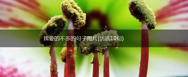 我要的不多的句子图片(优选10句),第1张