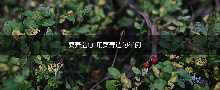 耍弄造句_用耍弄造句举例,第1张 耍弄造句_用耍弄造句举例,第1张