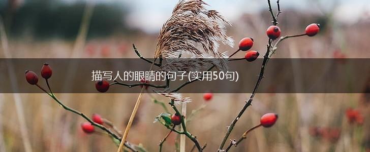 描写人的眼睛的句子(实用50句),第1张