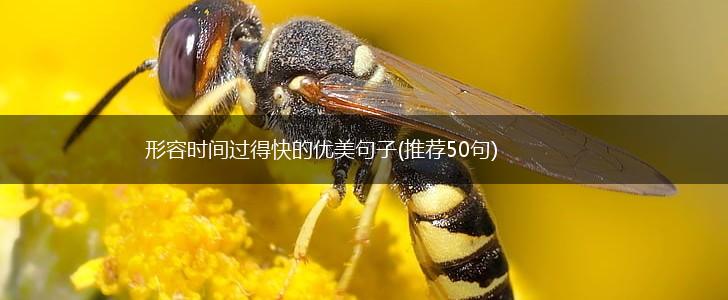 形容时间过得快的优美句子(推荐50句),第1张
