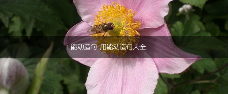 能动造句_用能动造句大全,第1张 能动造句_用能动造句大全,第1张