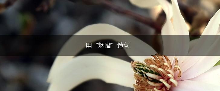 用“烟嘴”造句,第1张 用“烟嘴”造句,第1张