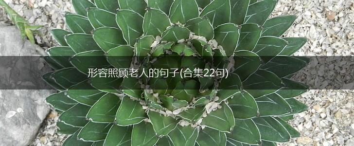 形容照顾老人的句子(合集22句),第1张
