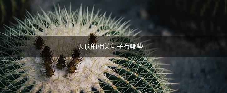 天顶的相关句子有哪些,第1张 天顶的相关句子有哪些,第1张