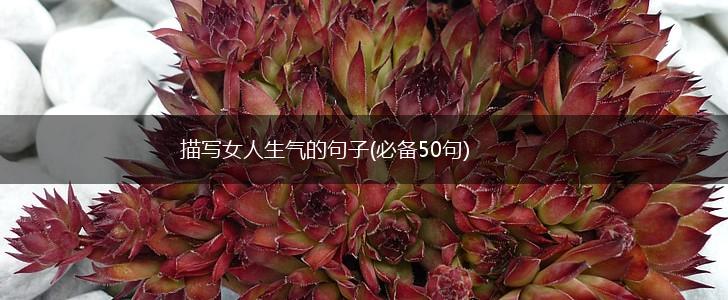 描写女人生气的句子(必备50句),第1张