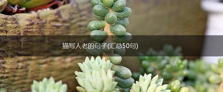 描写人老的句子(汇总50句),第1张
