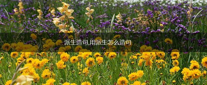 派生造句,用派生怎么造句,第1张