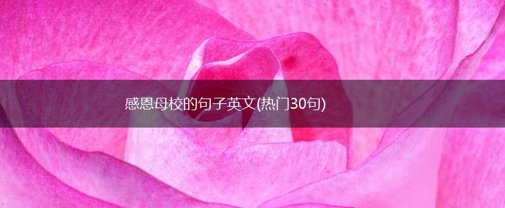 感恩母校的句子英文(热门30句),第1张
