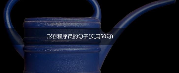 形容程序员的句子(实用50句),第1张