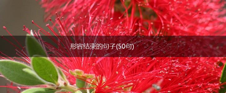 形容结束的句子(50句),第1张