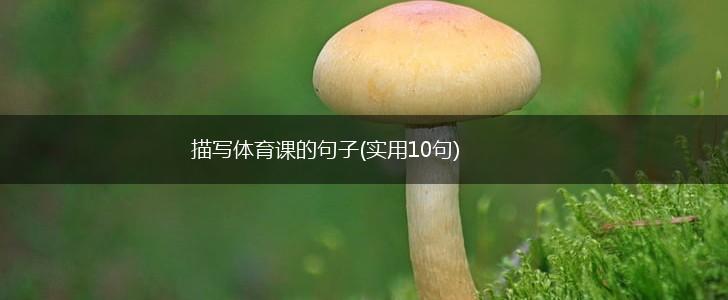 描写体育课的句子(实用10句),第1张