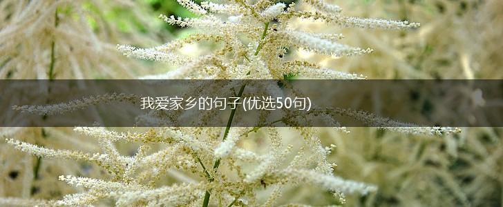 我爱家乡的句子(优选50句),第1张