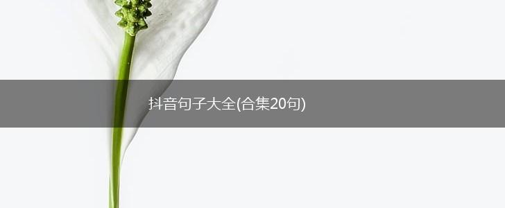 抖音句子大全(合集20句),第1张