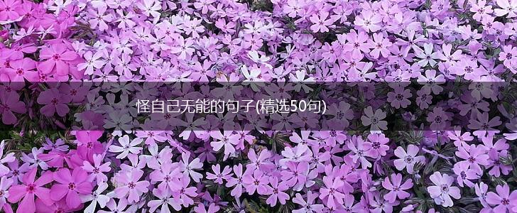 怪自己无能的句子(精选50句),第1张