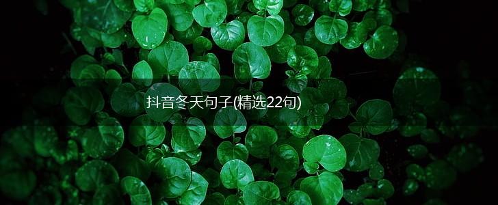抖音冬天句子(精选22句),第1张