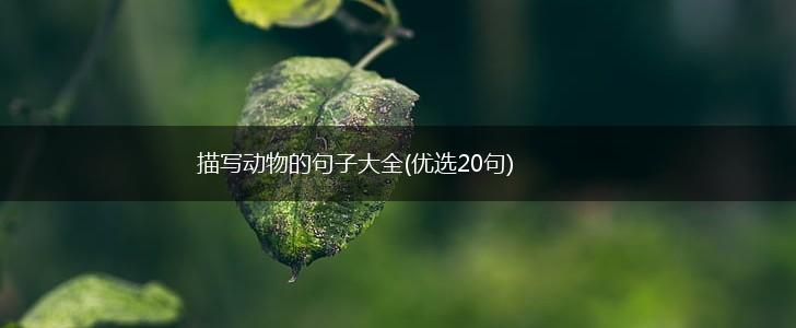 描写动物的句子大全(优选20句),第1张