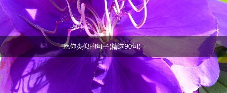 愿你类似的句子(精选90句),第1张