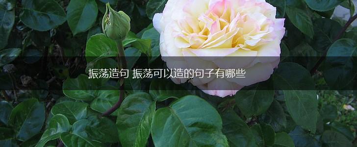 振荡造句 振荡可以造的句子有哪些,第1张 振荡造句 振荡可以造的句子有哪些,第1张