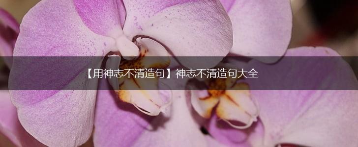 【用神志不清造句】神志不清造句大全,第1张