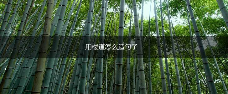 用楼道怎么造句子,第1张 用楼道怎么造句子,第1张
