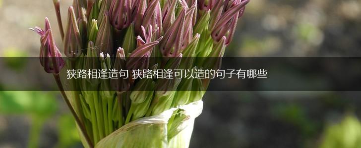 狭路相逢造句 狭路相逢可以造的句子有哪些,第1张 狭路相逢造句 狭路相逢可以造的句子有哪些,第1张