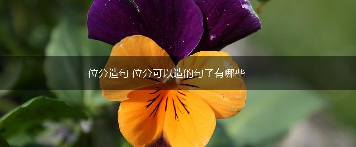 位分造句 位分可以造的句子有哪些,第1张 位分造句 位分可以造的句子有哪些,第1张