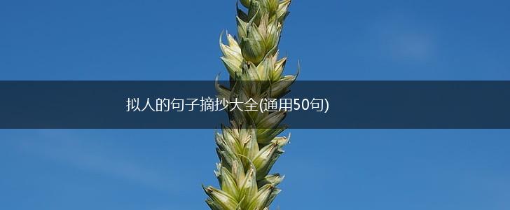 拟人的句子摘抄大全(通用50句),第1张