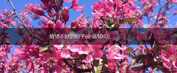 情绪不好的句子(必备50句),第1张