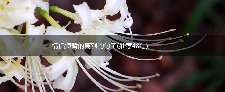 情侣短暂的离别的句子(推荐48句),第1张