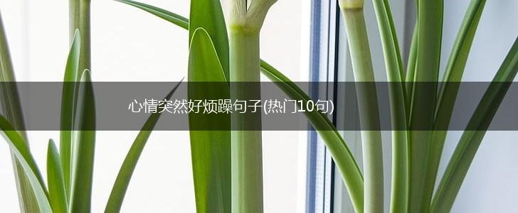 心情突然好烦躁句子(热门10句),第1张