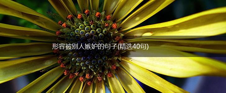 形容被别人嫉妒的句子(精选40句),第1张