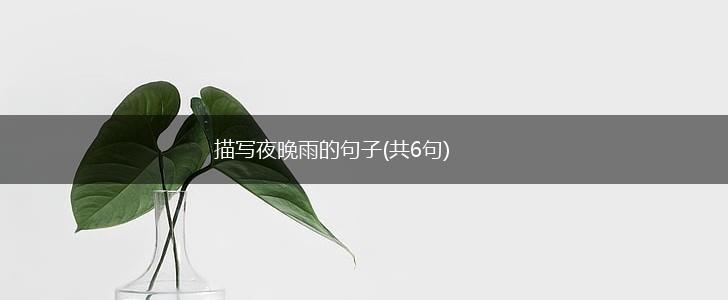描写夜晚雨的句子(共6句),第1张