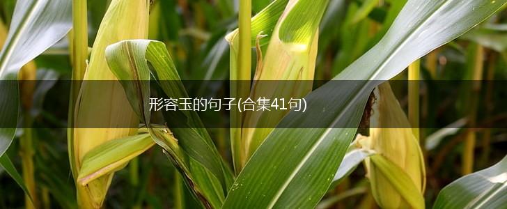 形容玉的句子(合集41句),第1张