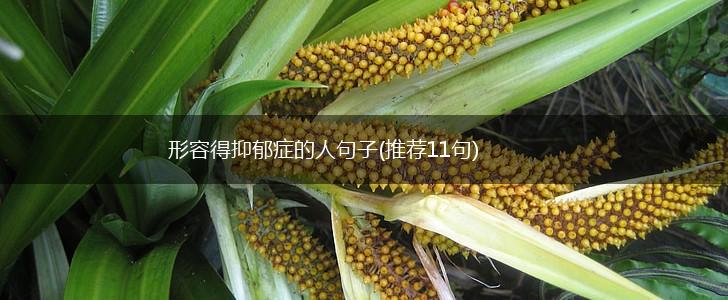 形容得抑郁症的人句子(推荐11句),第1张