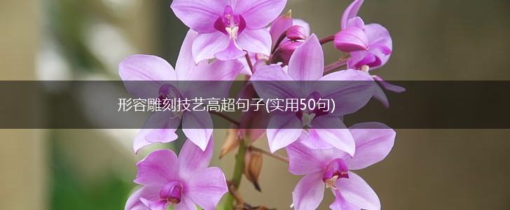 形容雕刻技艺高超句子(实用50句),第1张