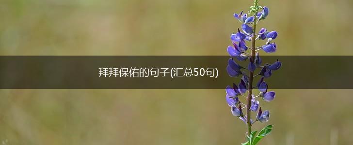 拜拜保佑的句子(汇总50句),第1张