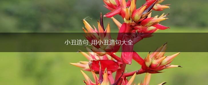 小丑造句_用小丑造句大全,第1张 小丑造句_用小丑造句大全,第1张