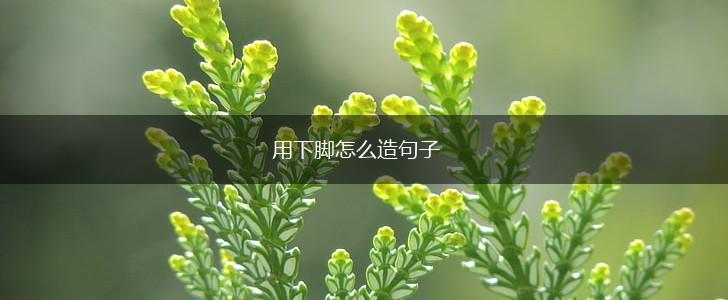用下脚怎么造句子,第1张 用下脚怎么造句子,第1张