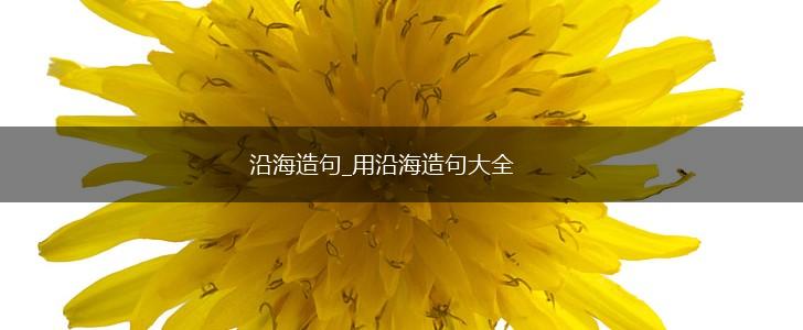 沿海造句_用沿海造句大全,第1张 沿海造句_用沿海造句大全,第1张