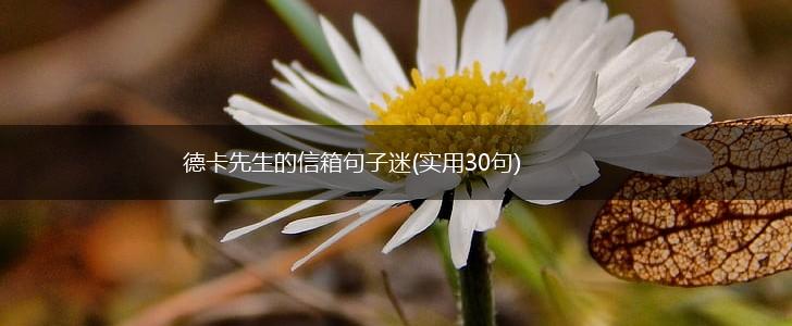 德卡先生的信箱句子迷(实用30句),第1张
