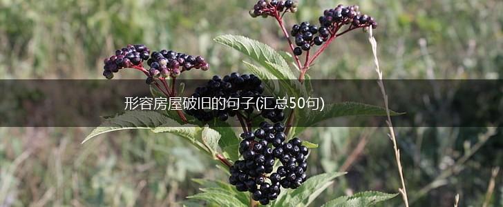 形容房屋破旧的句子(汇总50句),第1张