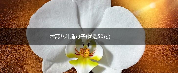 才高八斗造句子(优选50句),第1张