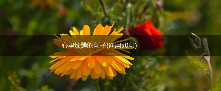 心里烦躁的句子(通用50句),第1张