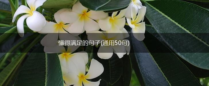 懂得满足的句子(通用50句),第1张