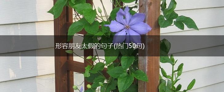 形容朋友太假的句子(热门50句),第1张