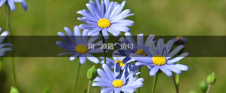 用“原籍”造句,第1张 用“原籍”造句,第1张