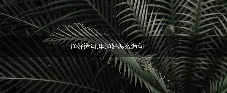 通好造句,用通好怎么造句,第1张 通好造句,用通好怎么造句,第1张