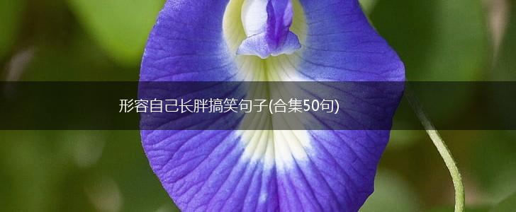 形容自己长胖搞笑句子(合集50句),第1张