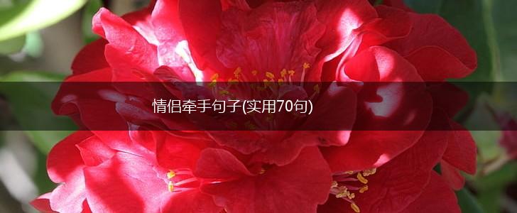 情侣牵手句子(实用70句),第1张